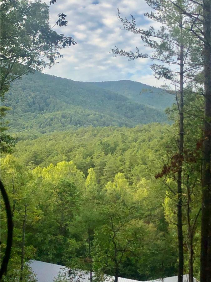 Mountain-Top Cabin Get-Away With Hot Tub And A View Sautee Nacoochee المظهر الخارجي الصورة